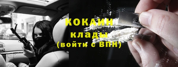 шишки Балахна