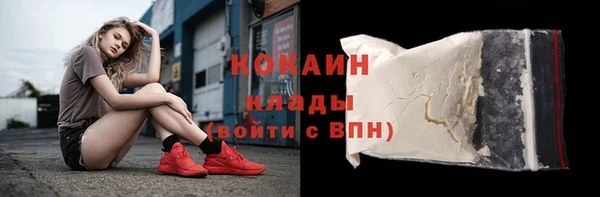 шишки Балахна