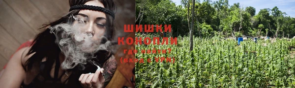 шишки Балахна