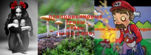 индика Аркадак